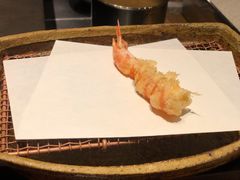 日本车虾-みかわ是山居
