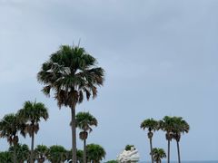 -七星潭蓝天广场