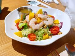 -HELLO 27 意面·沙拉·帕尼尼