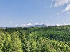 -山王坪喀斯特国家生态公园