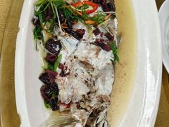 -老乡村美食农庄