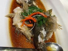 清蒸笋壳鱼-宝燕壹号(徐汇店)