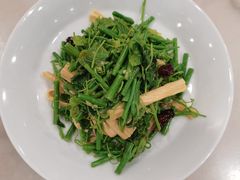 炝腐竹丝瓜尖-鸭匠食府·挂炉烤鸭·新京菜(阜成路店)