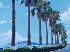 -湄洲岛