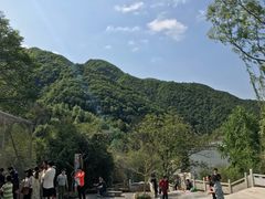 -王顺山国家森林公园