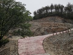 -木兰云雾山