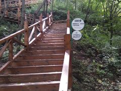 -大岭沟猕猴桃谷风景区