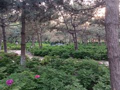 -太阳宫公园