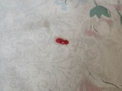-美联众合动物医院·24h转诊中心