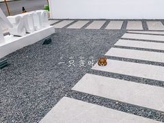 -青梅酒肆PLUS(长白仙岛北路店)