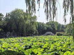 -莲池书院博物馆