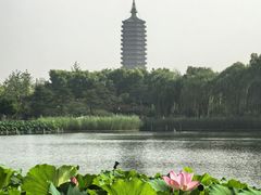 -西海子公园