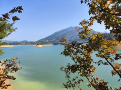 -广州市流溪河国家森林公园