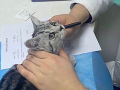 -中农国际动物医院24小时·猫科·骨科·急重症中心