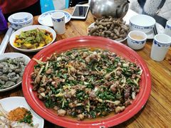 -东吴霸王兔(松青路店)