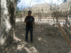 -新疆天山野生动物园