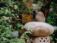-北京古北水镇御舍温泉酒店