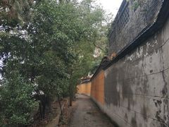 -高旻寺