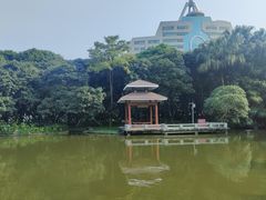 -黄埔荔枝公园