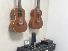 -大象音乐·吉他·架子鼓·声乐(双井店)