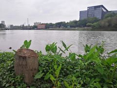 -怡海公园(桂城街道)