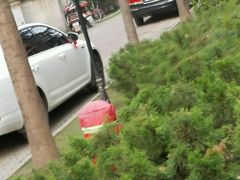 -新陶陶酒家