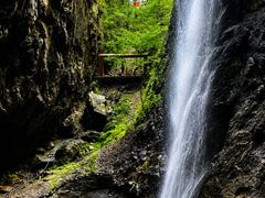 -莫干山风景区