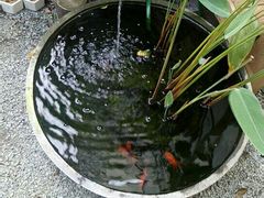 -拾壹cafe·工作室