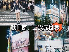 -秋叶原电器街