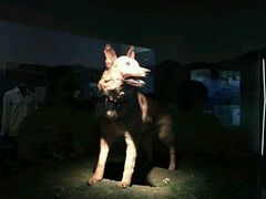 -上海公安博物馆