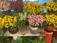 -双季花艺园艺市场(浦东店)