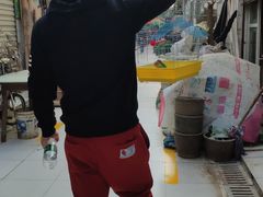 -武汉花鸟市场