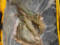 -喜庭海鲜自助(北辰三角洲北辰荟店)