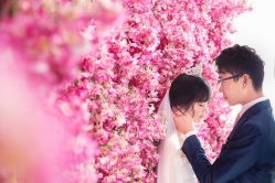 点击看大图 -太郎花子婚纱摄影艺术中心
