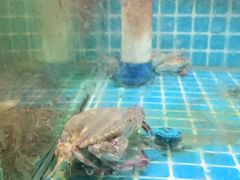 -面道赞宁海海鲜面(迎凤街店)