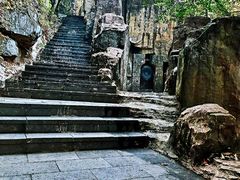 -铁山坪森林公园