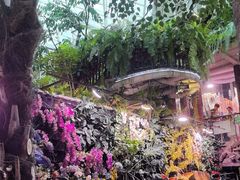 -正佳雨林生态植物园