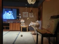 -大江户·温泉洗浴(浑南店)