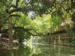 -小洲村