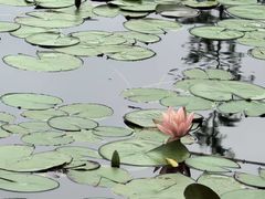 -白鹭湾湿地公园