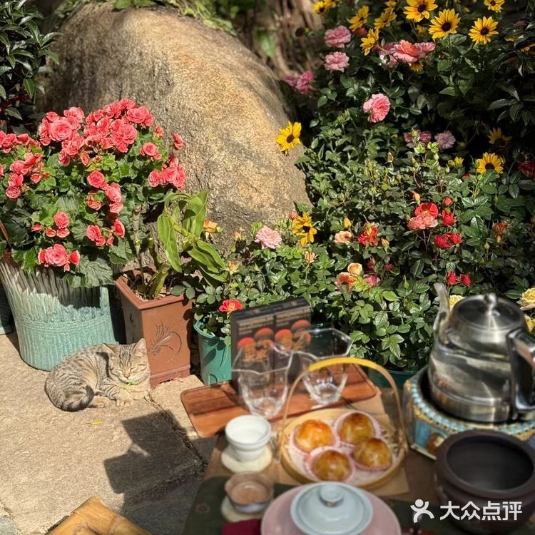 美食是生活的调味剂，“文会社”是你的美食天堂