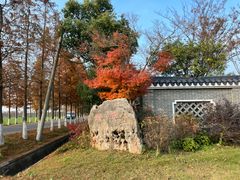 -太阳岛度假酒店