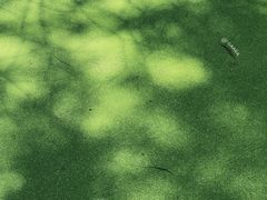 -艾溪湖湿地公园
