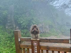 -峨眉山风景名胜区
