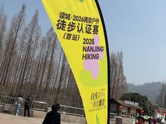 -紫金山山顶公园
