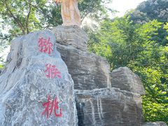 -大岭沟猕猴桃谷风景区
