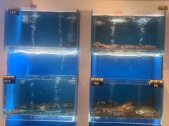 -赶海部落海鲜城(海阳路店)