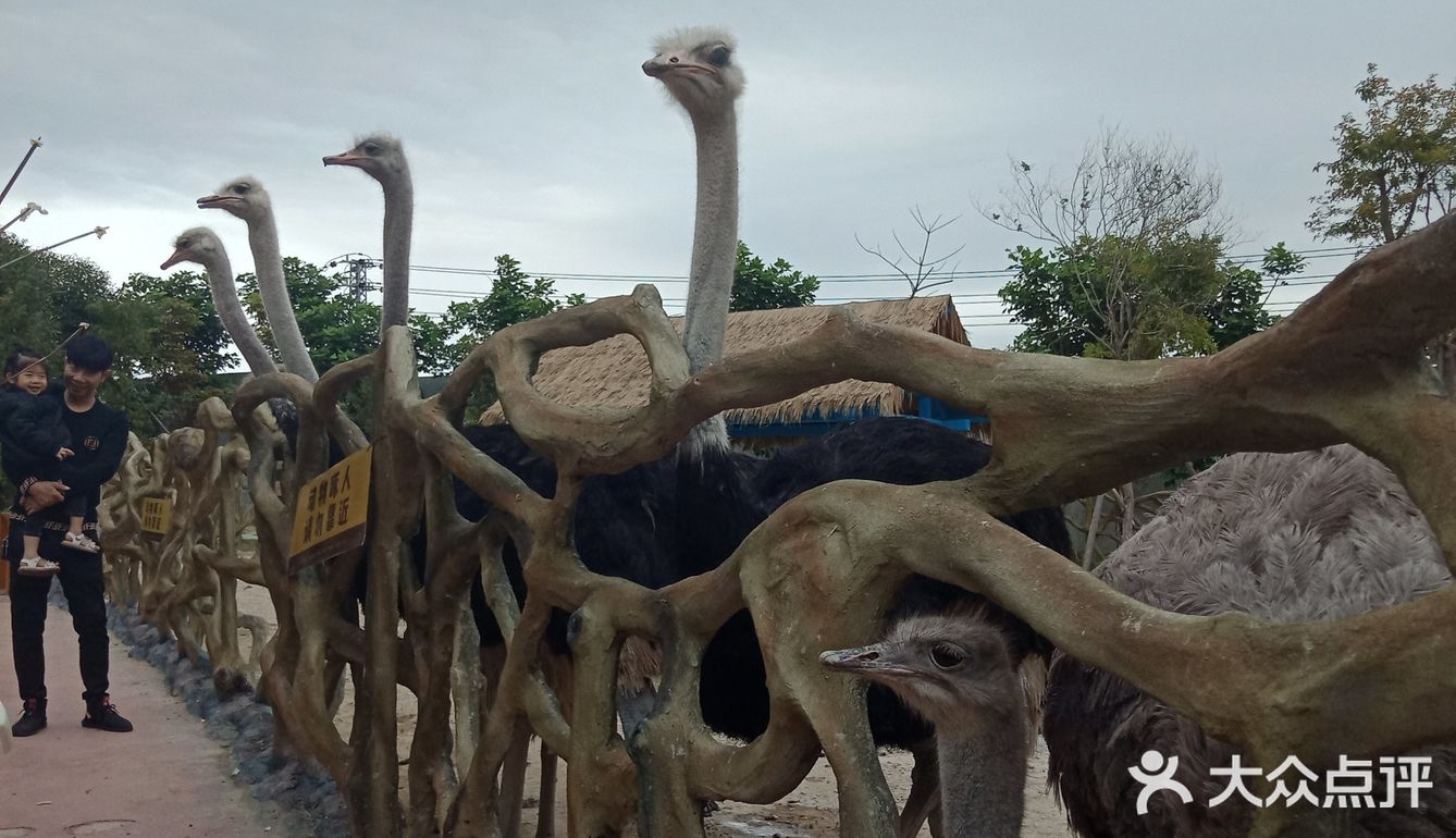 福清永鴻野生動物園親子游