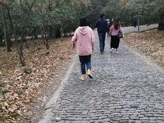 -灵谷景区