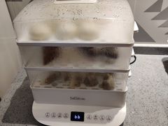 -白玉兰苏州观前街平江路酒店